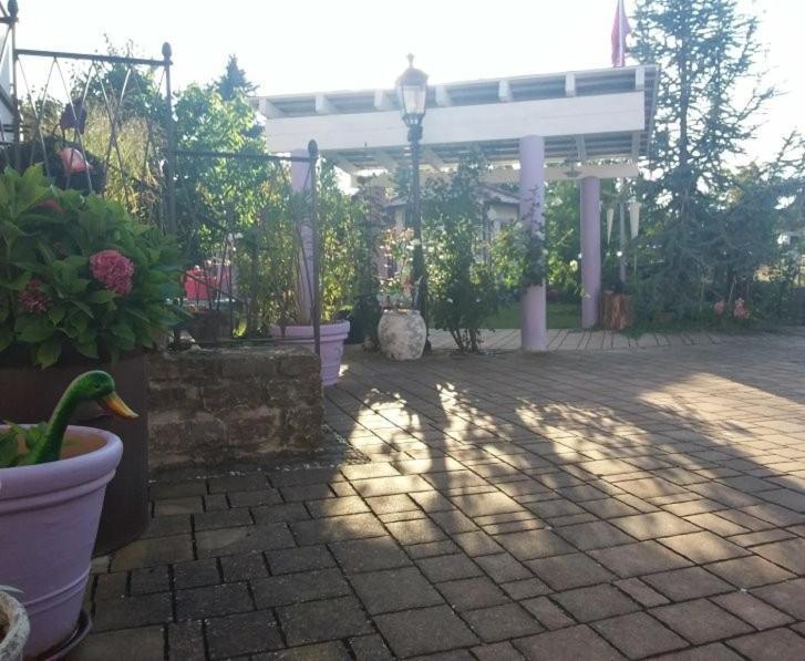 Appartamento Lila Sommerach